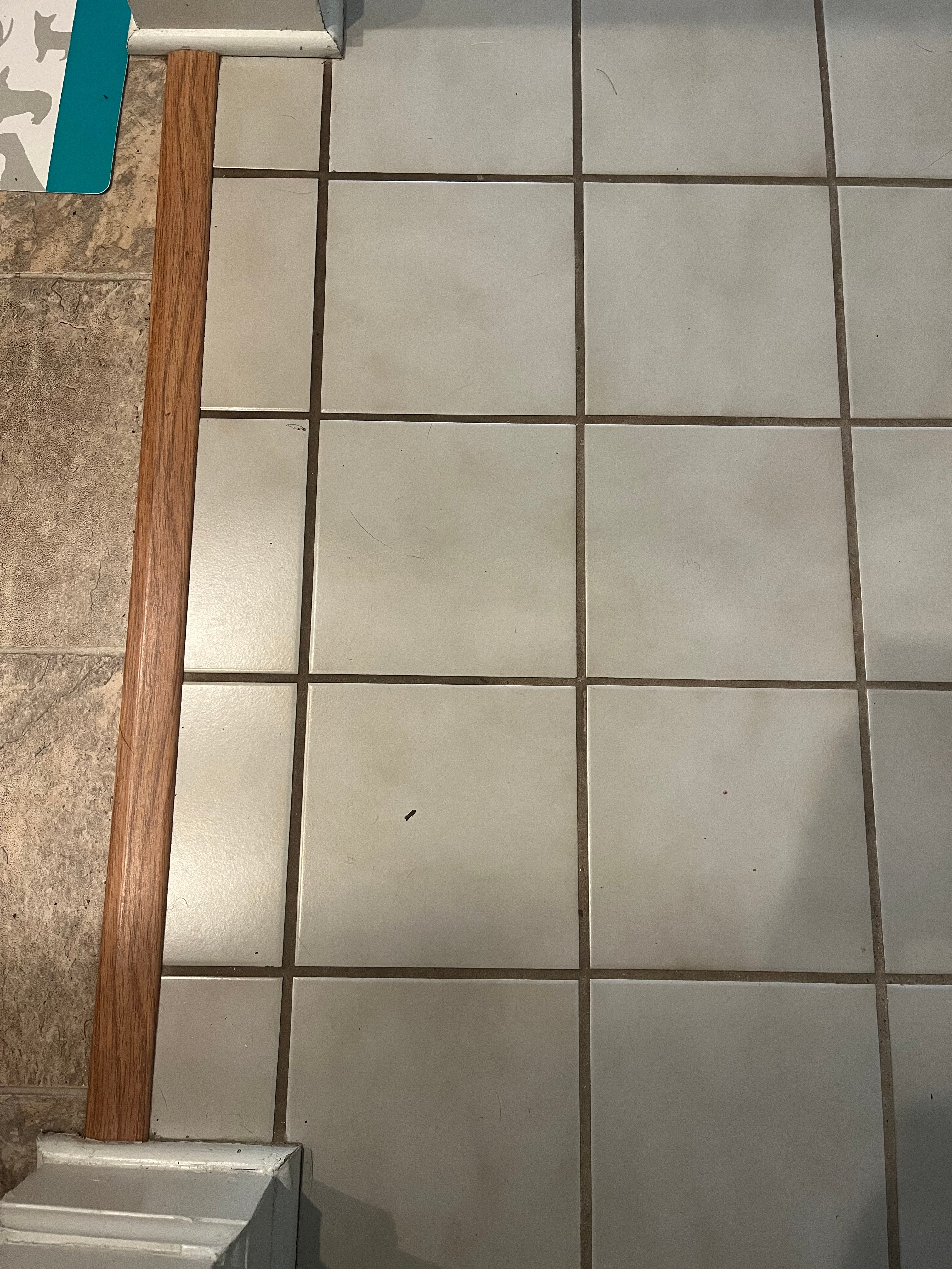 20 Year old dirty tile